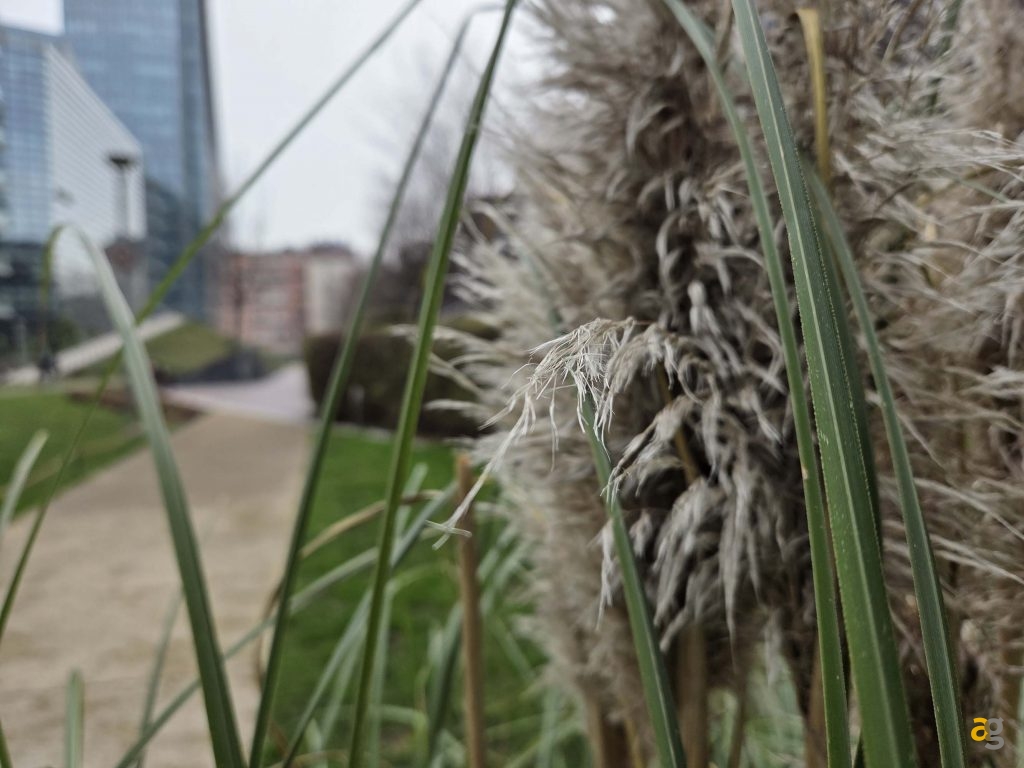 recensione-samsung-galaxy-s25