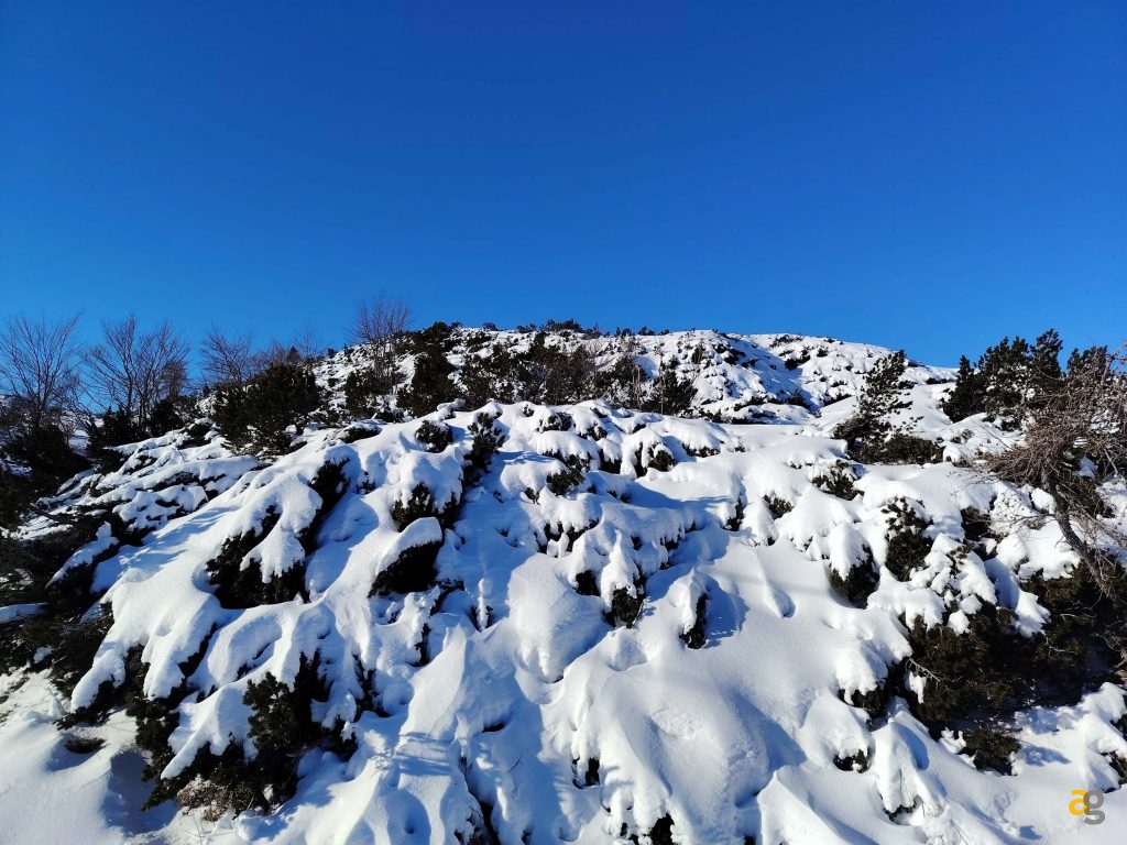 recensione-honor-magic7-pro