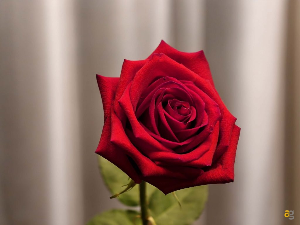 recensione-vivo-x200-pro