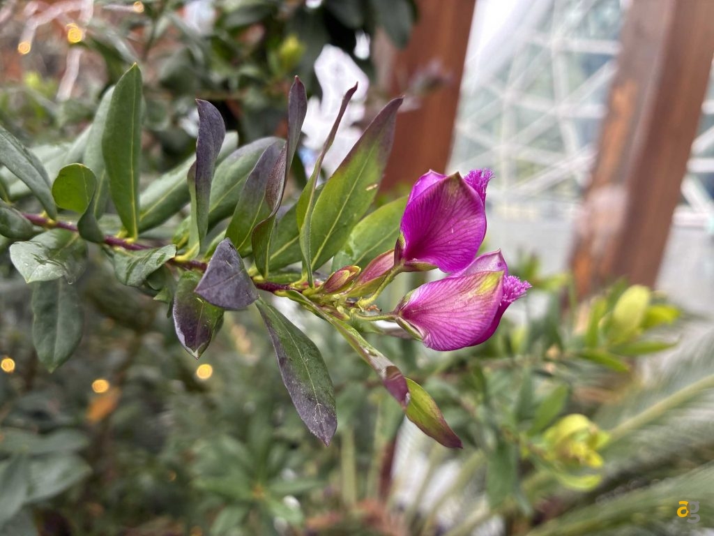 recensione-iphone-16e