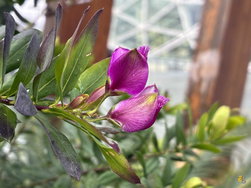 recensione-iphone-16e