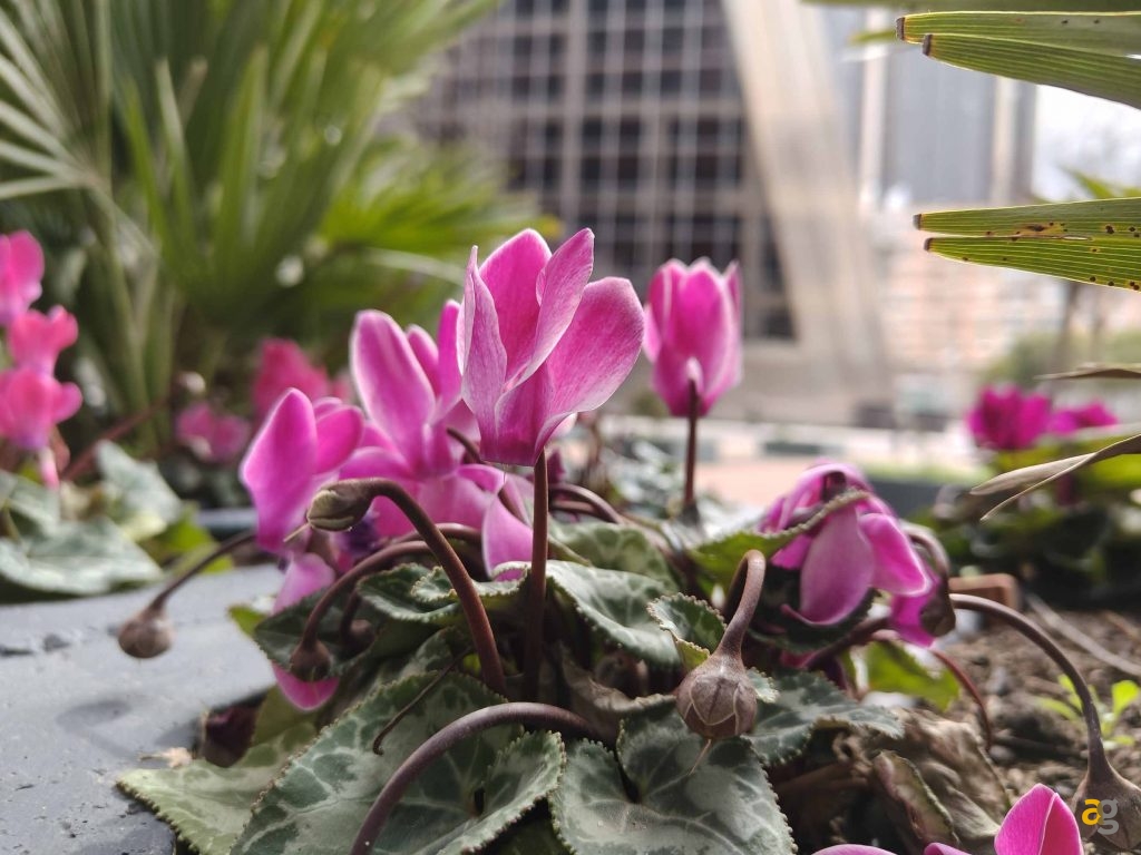 recensione-oppo-reno-13-pro-5g