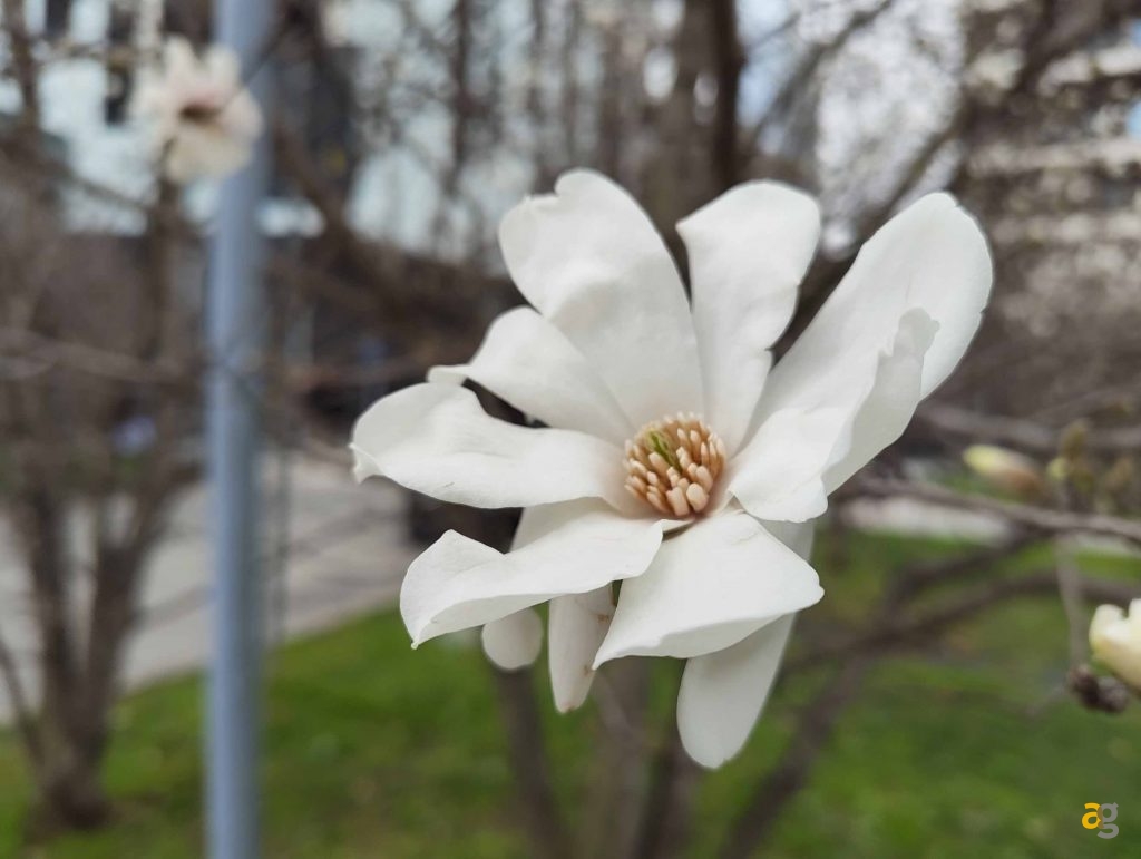 recensione-nothing-phone-3a