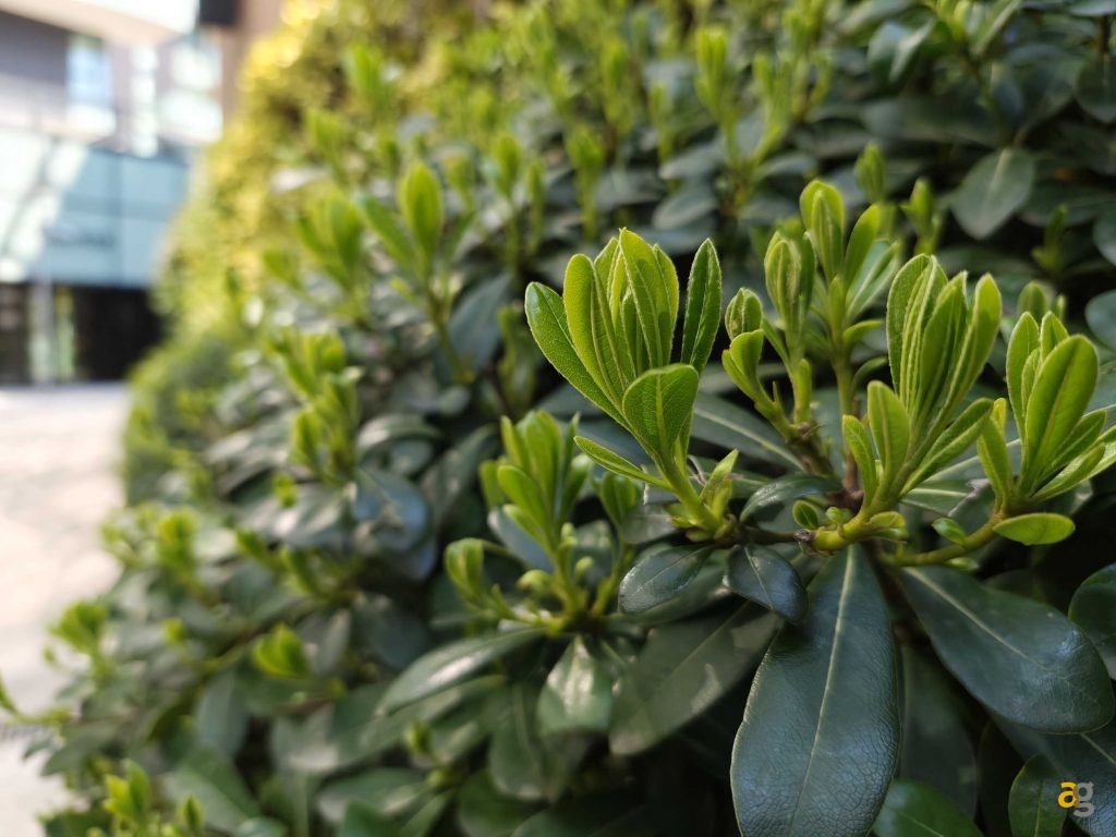 recensione-poco-f7-ultra