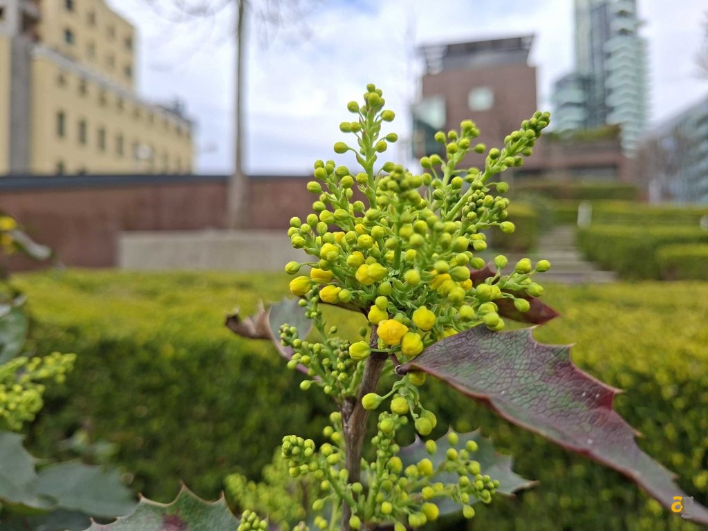 recensione-samsung-galaxy-a56