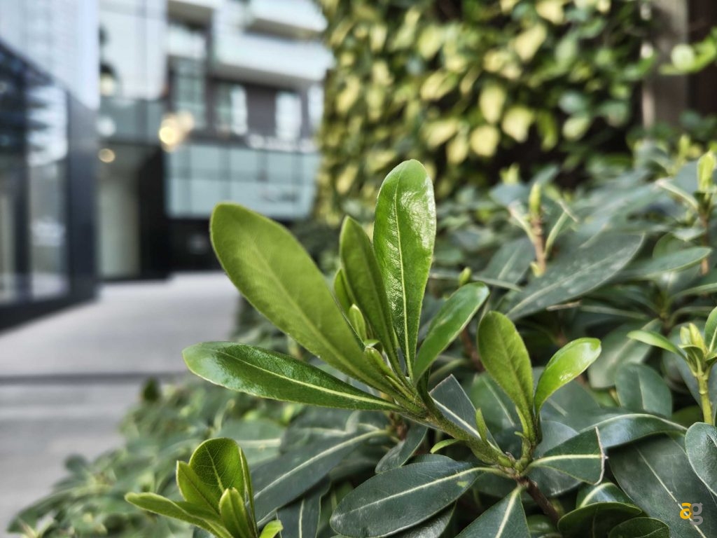 recensione-nothing-phone-3a-pro