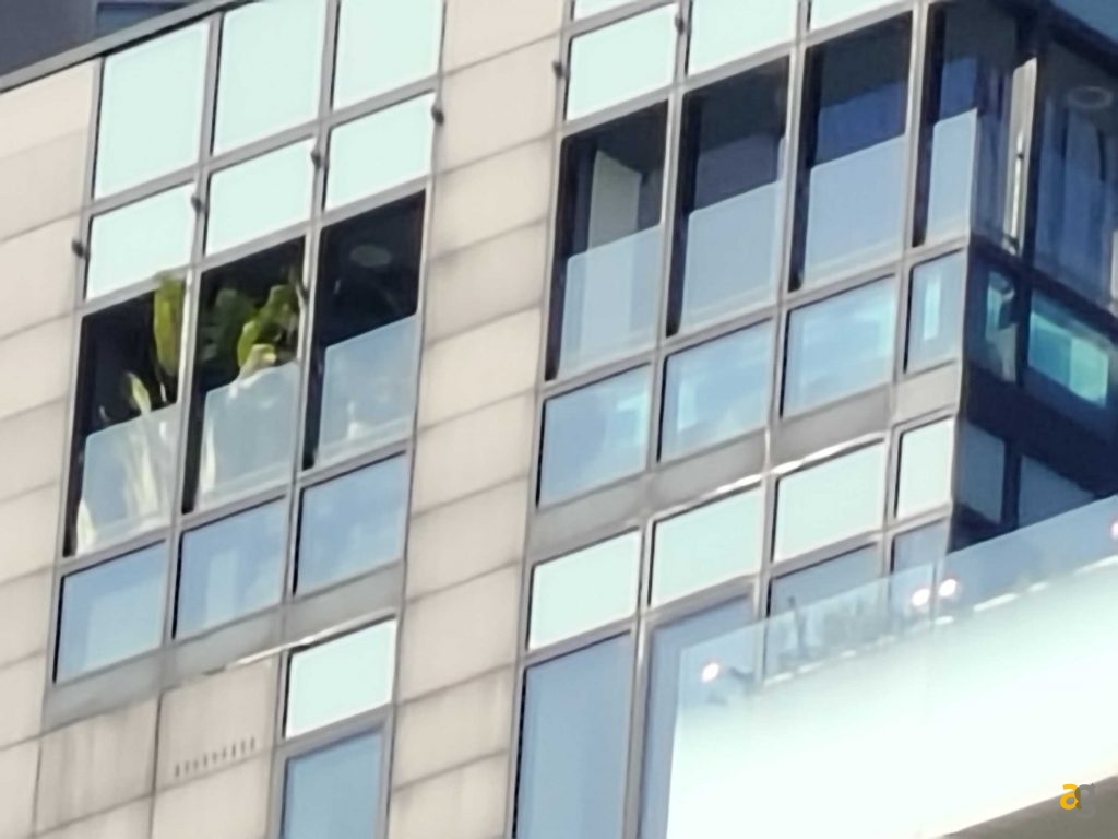 recensione-realme-14-pro-plus