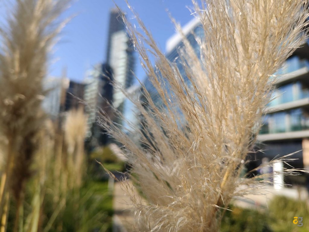 recensione-realme-14-pro-plus