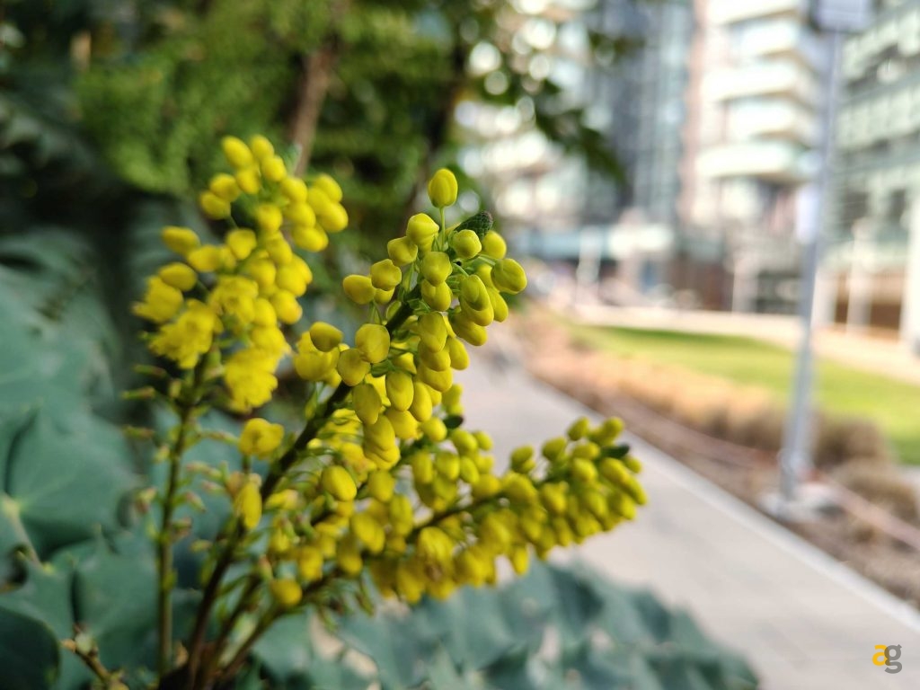 recensione-realme-14-pro-plus