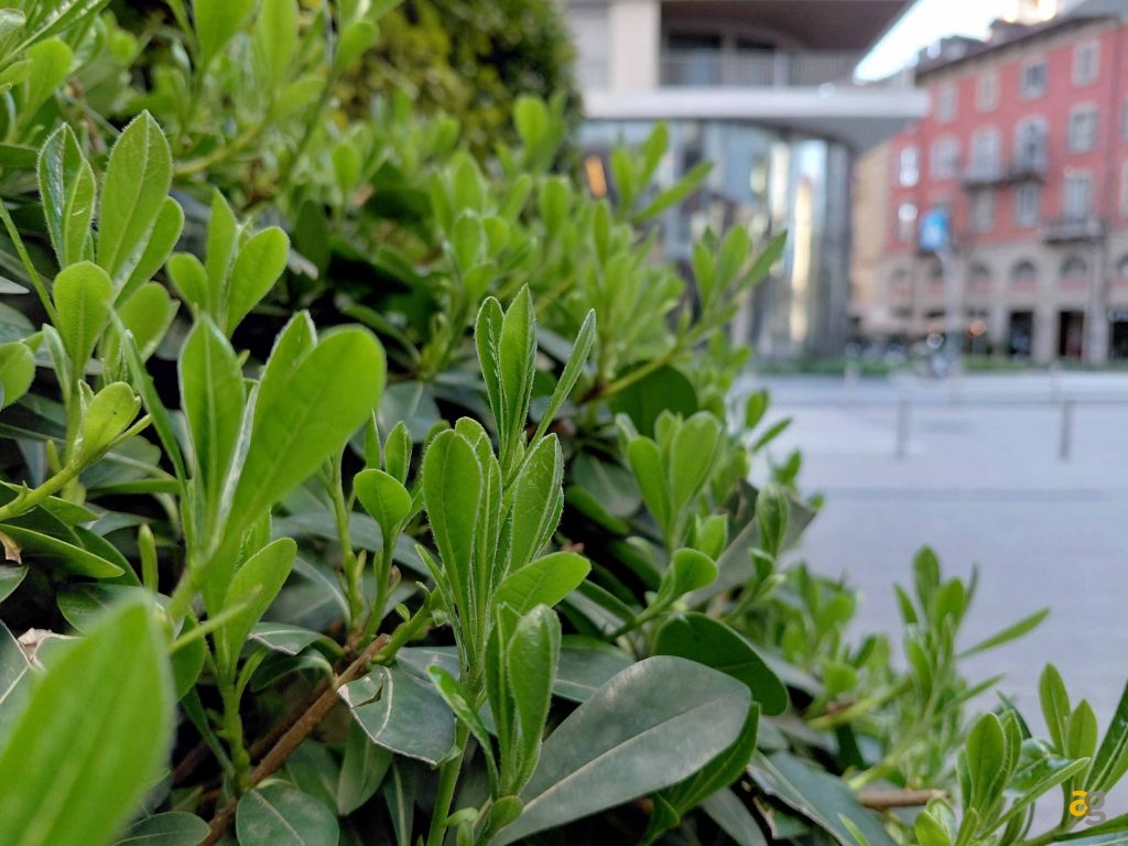 si-no-best-buy-confronto-galaxy-a16-vs-a36-vs-a56