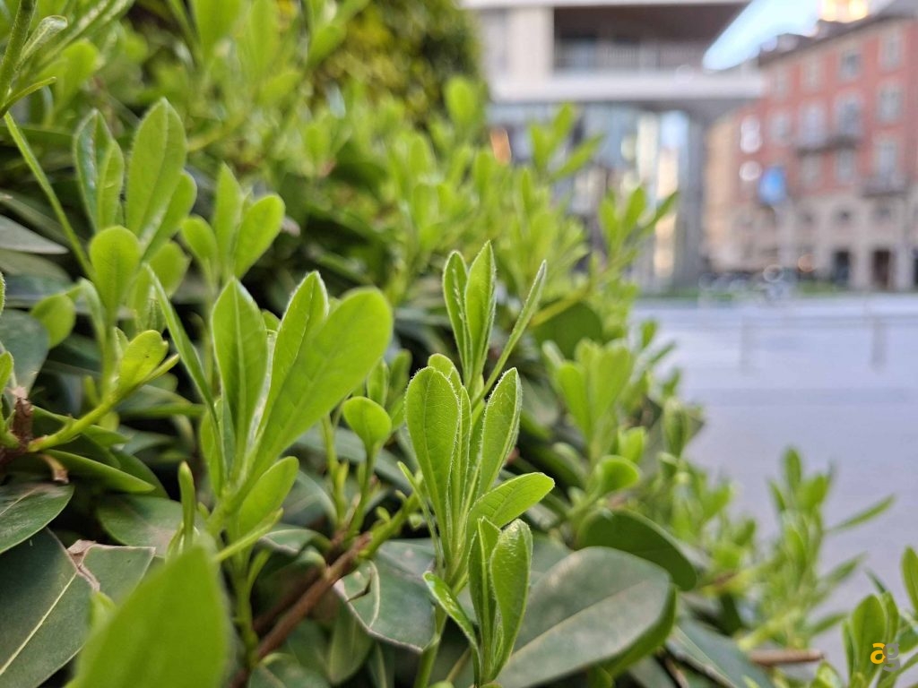 si-no-best-buy-confronto-galaxy-a16-vs-a36-vs-a56