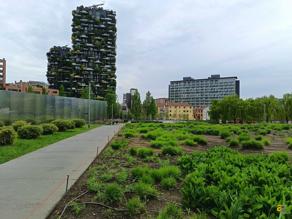 recensione-honor-400-lite