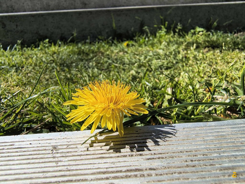 recensione-motorola-edge-60-fusion