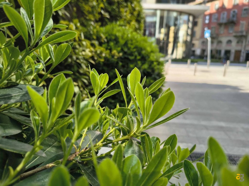 recensione-motorola-edge-60-fusion