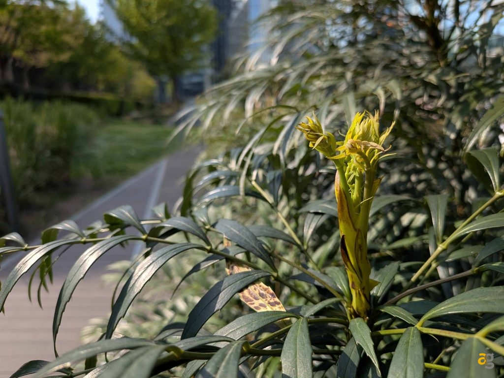 recensione-google-pixel-9a