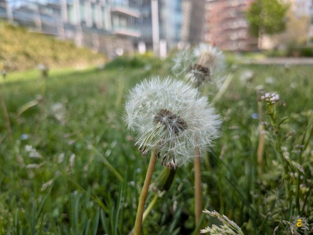 recensione-google-pixel-9a