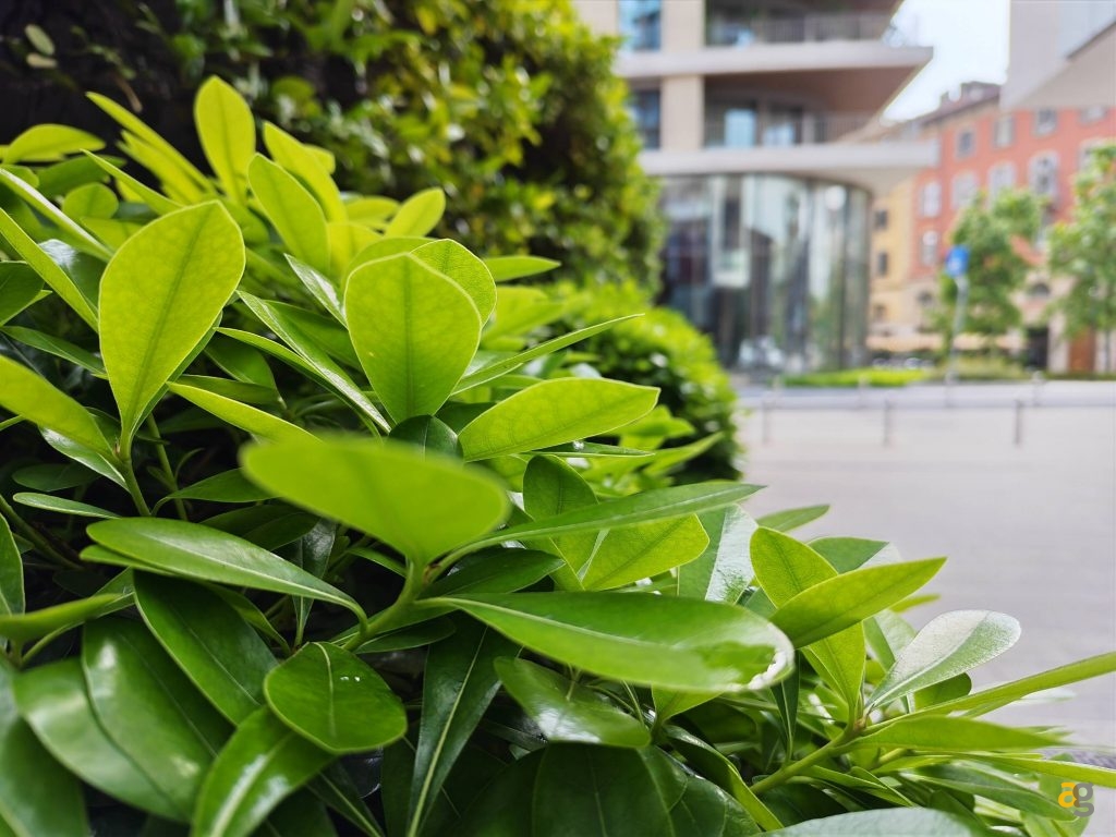 recensione-honor-400-pro