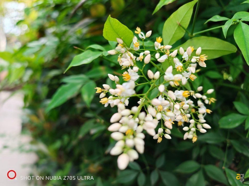 recensione-nubia-z70s-ultra