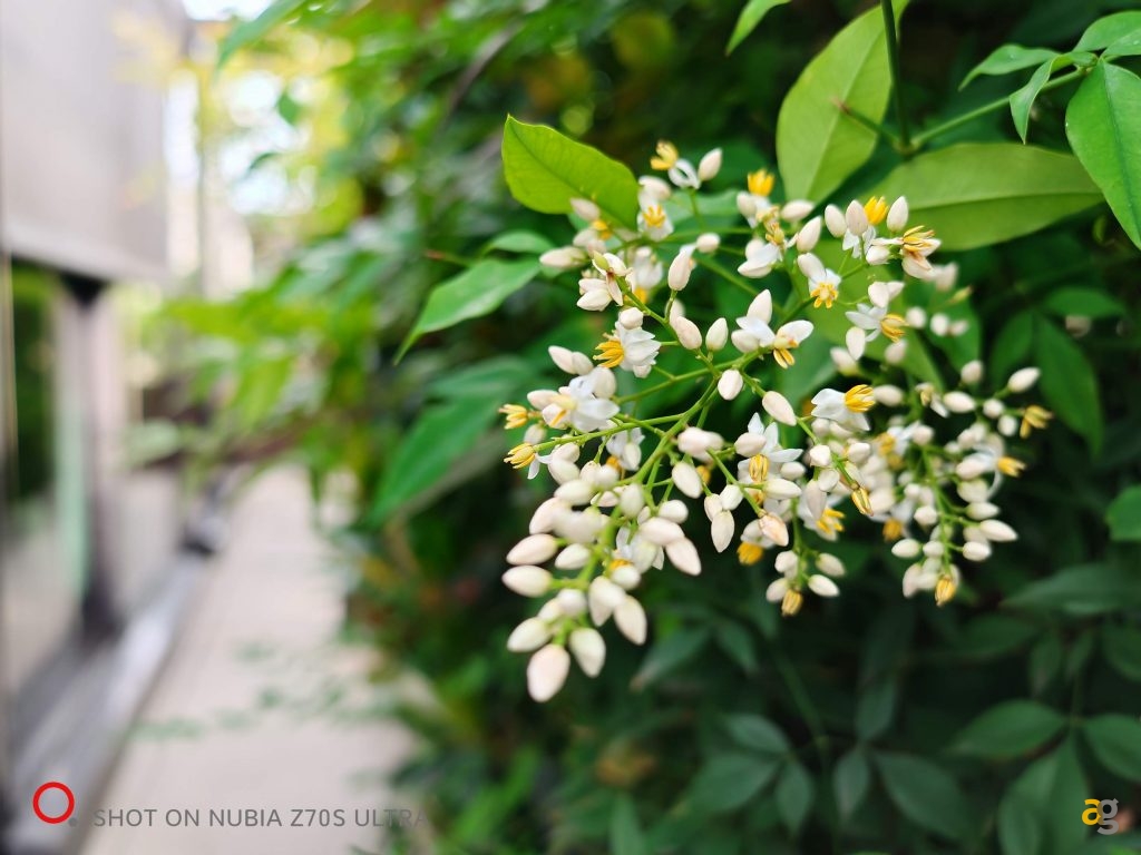 recensione-nubia-z70s-ultra