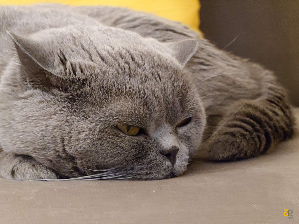 recensione-sony-xperia-1-vii