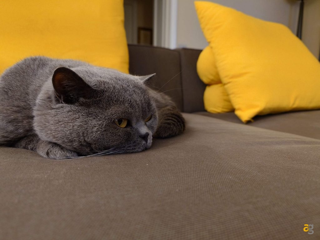 recensione-sony-xperia-1-vii