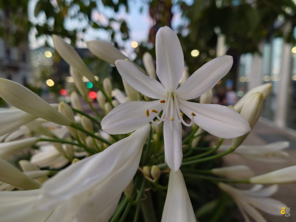 recensione-sony-xperia-1-vii