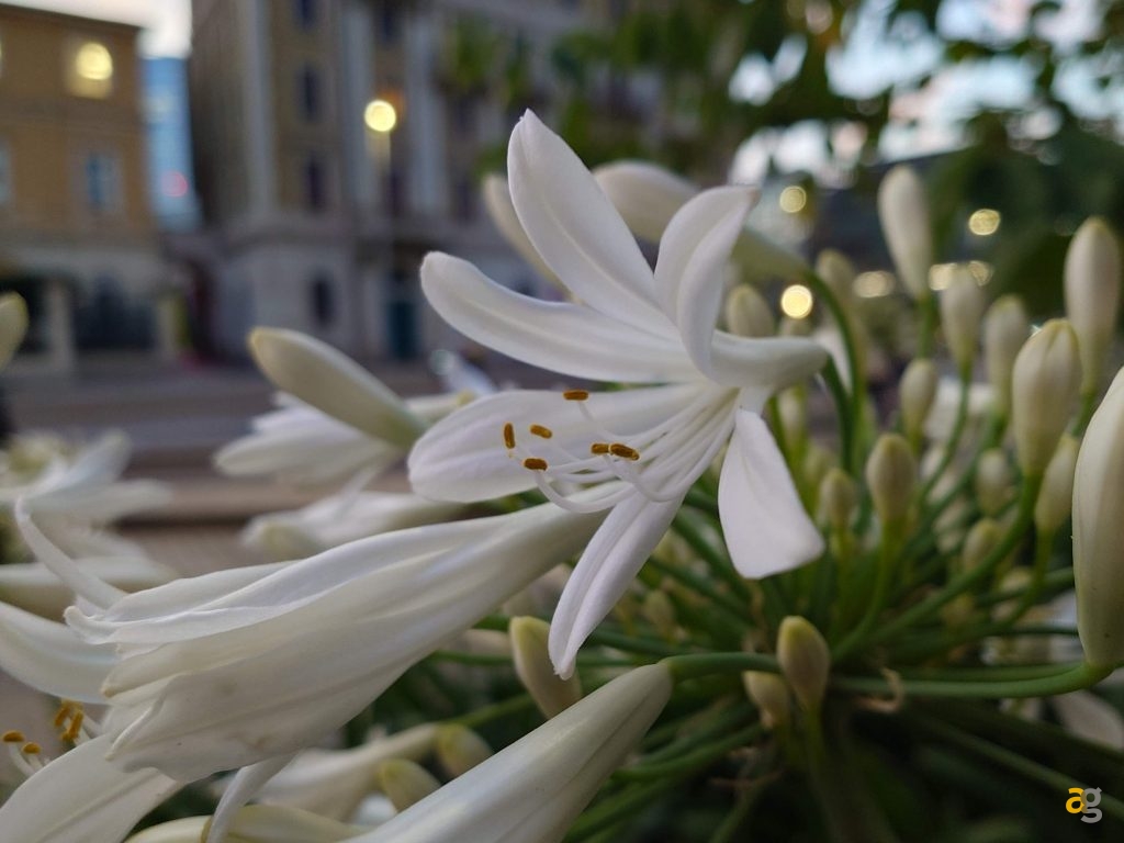 recensione-sony-xperia-1-vii