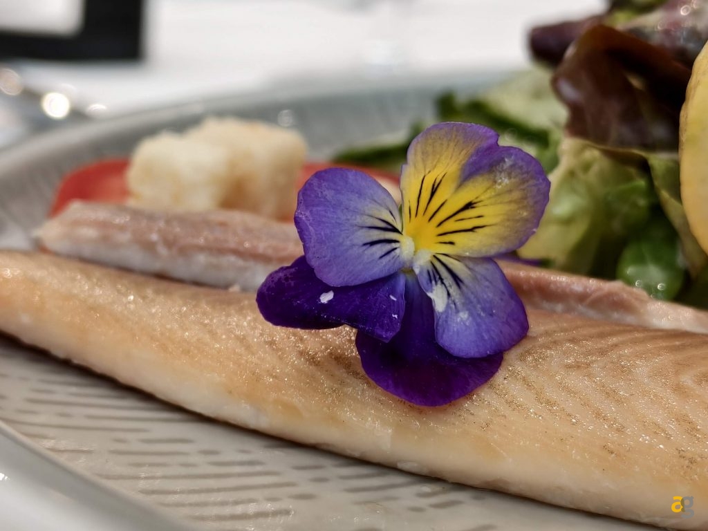 recensione-vivo-x200-fe