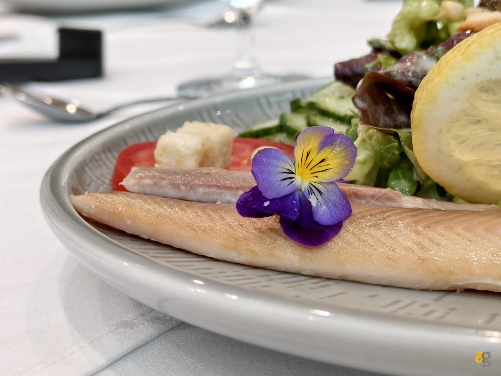 recensione-vivo-x200-fe