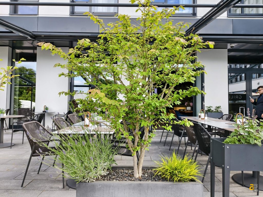 recensione-vivo-x200-fe