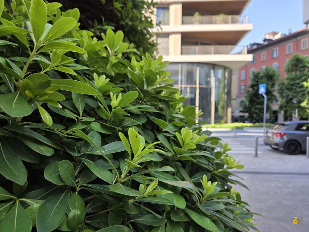 confronto-galaxy-s25-honor-400-pro-realme-gt7-poco-f7-ultra-miglior-telefono-600-euro