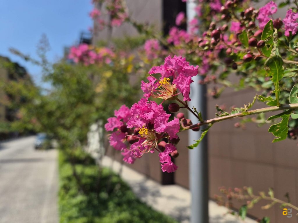 recensione-samsung-galaxy-z-flip-7