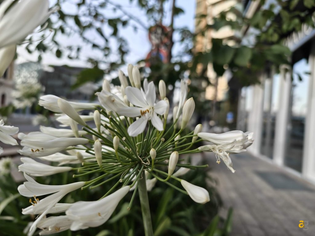 recensione-nothing-phone-3