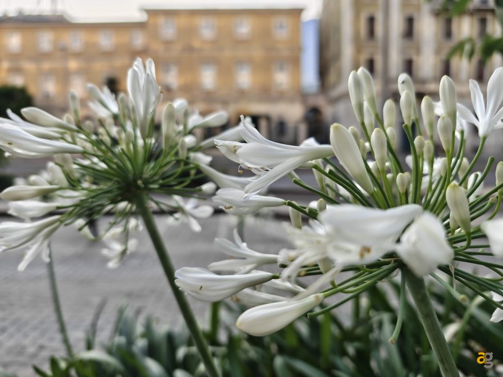 recensione-nothing-phone-3