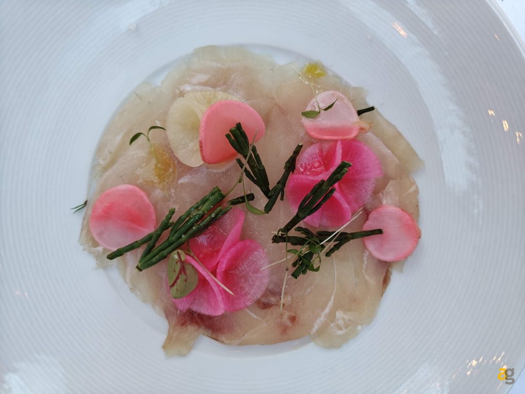 recensione-oneplus-nord-5