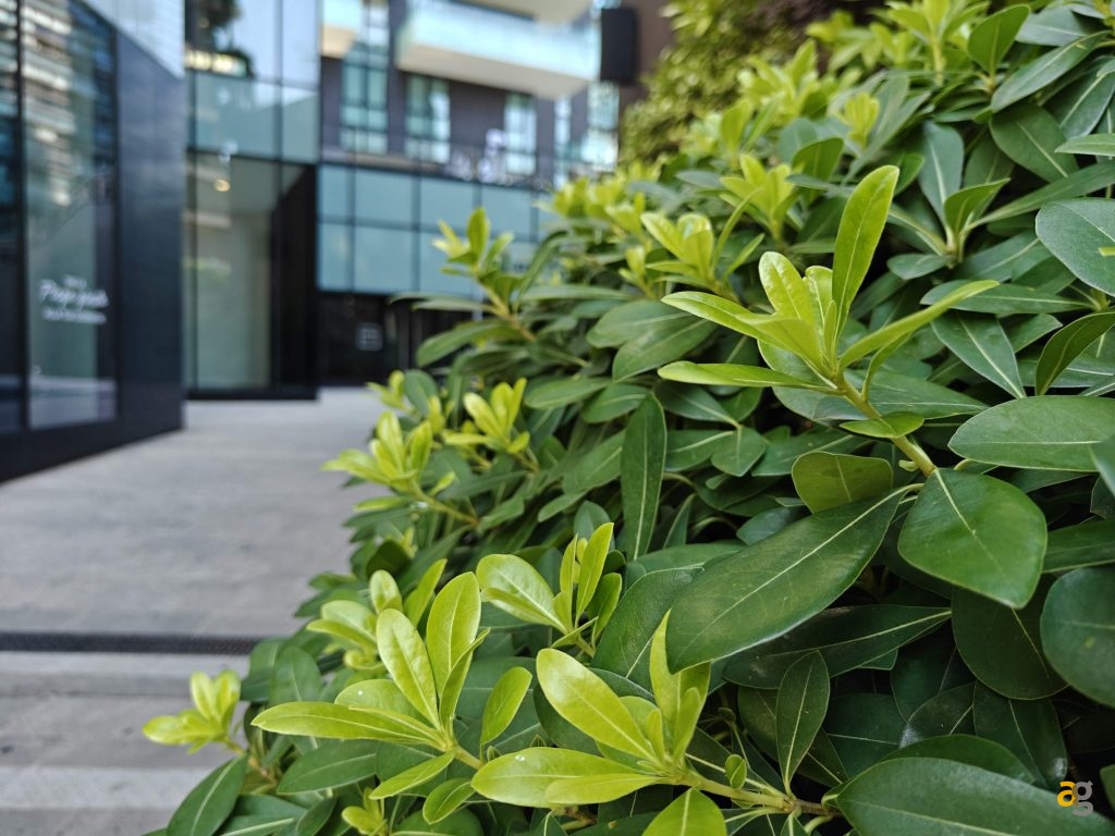 recensione-oneplus-nord-5