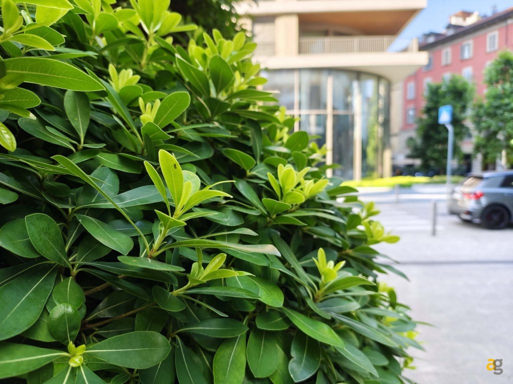 confronto-galaxy-s25-honor-400-pro-realme-gt7-poco-f7-ultra-miglior-telefono-600-euro