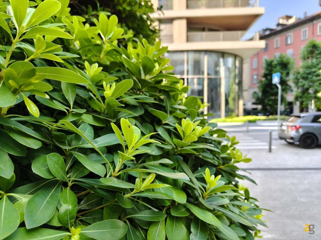 confronto-galaxy-s25-honor-400-pro-realme-gt7-poco-f7-ultra-miglior-telefono-600-euro