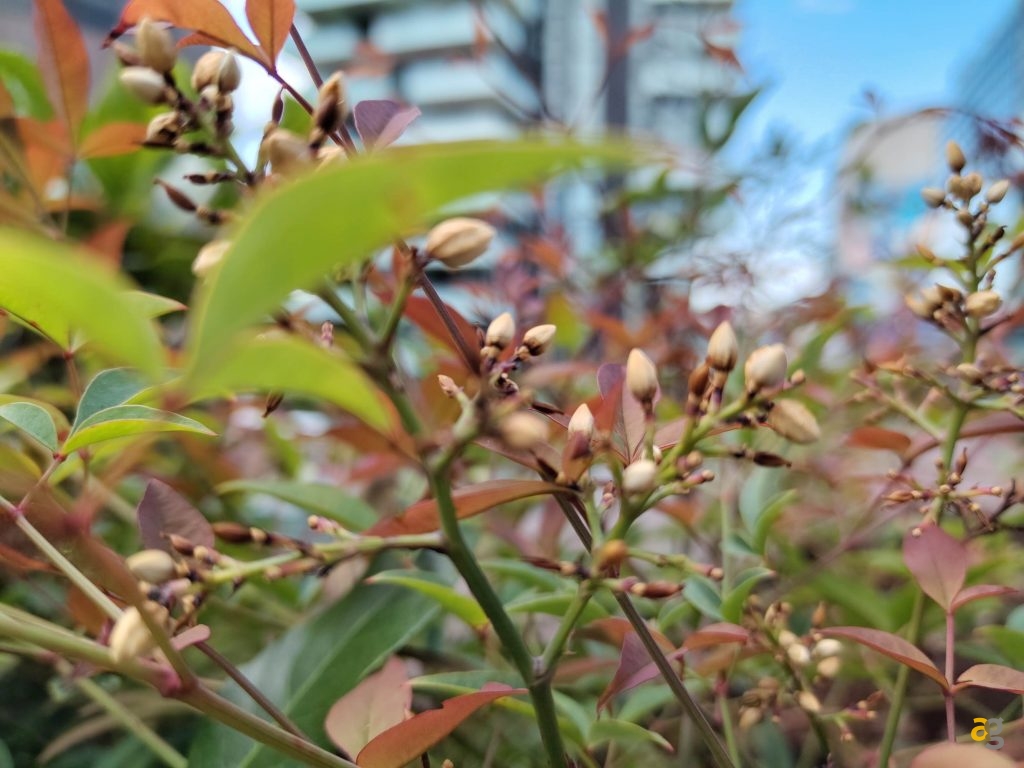 recensione-fairphone-6-android-servizi-google