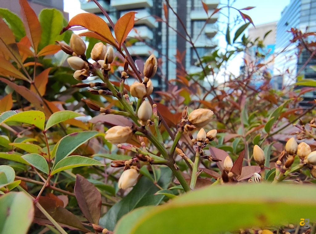 recensione-fairphone-6-android-servizi-google