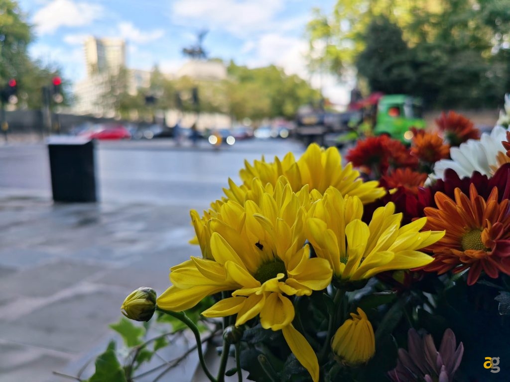 recensione-honor-magic-v5