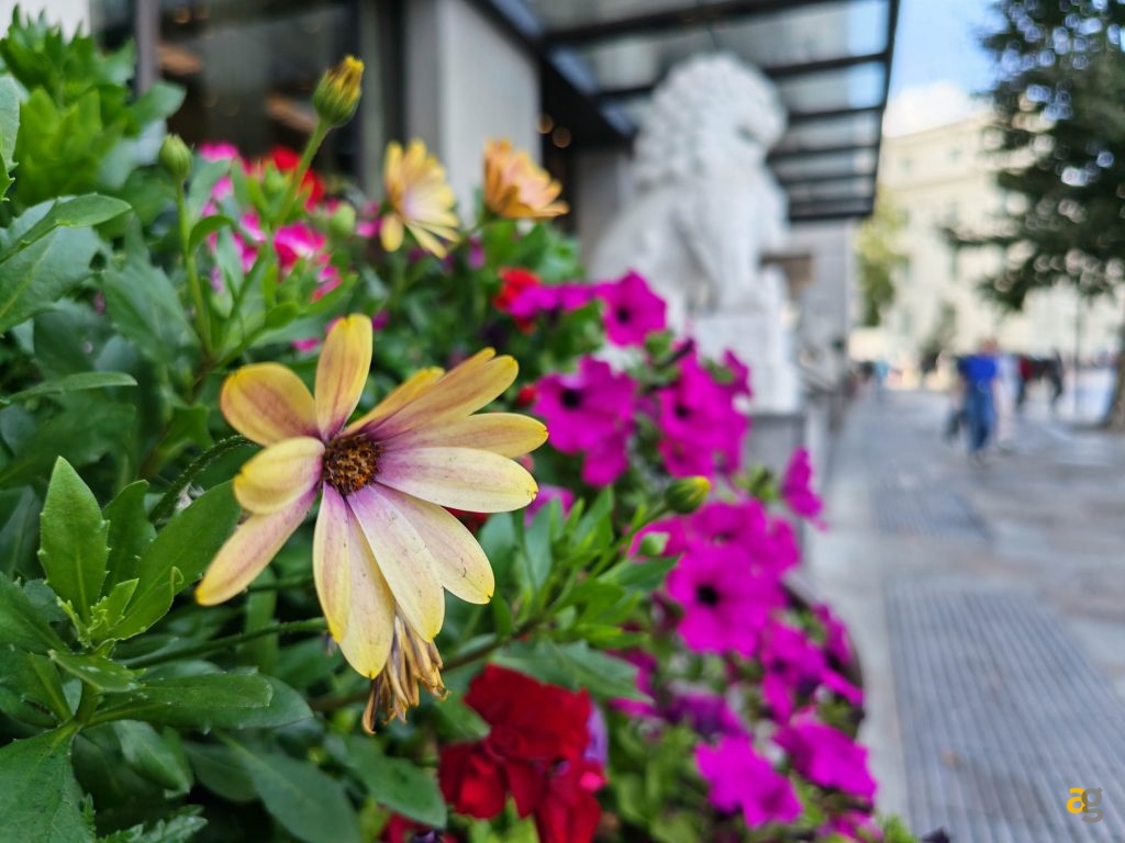 recensione-honor-magic-v5