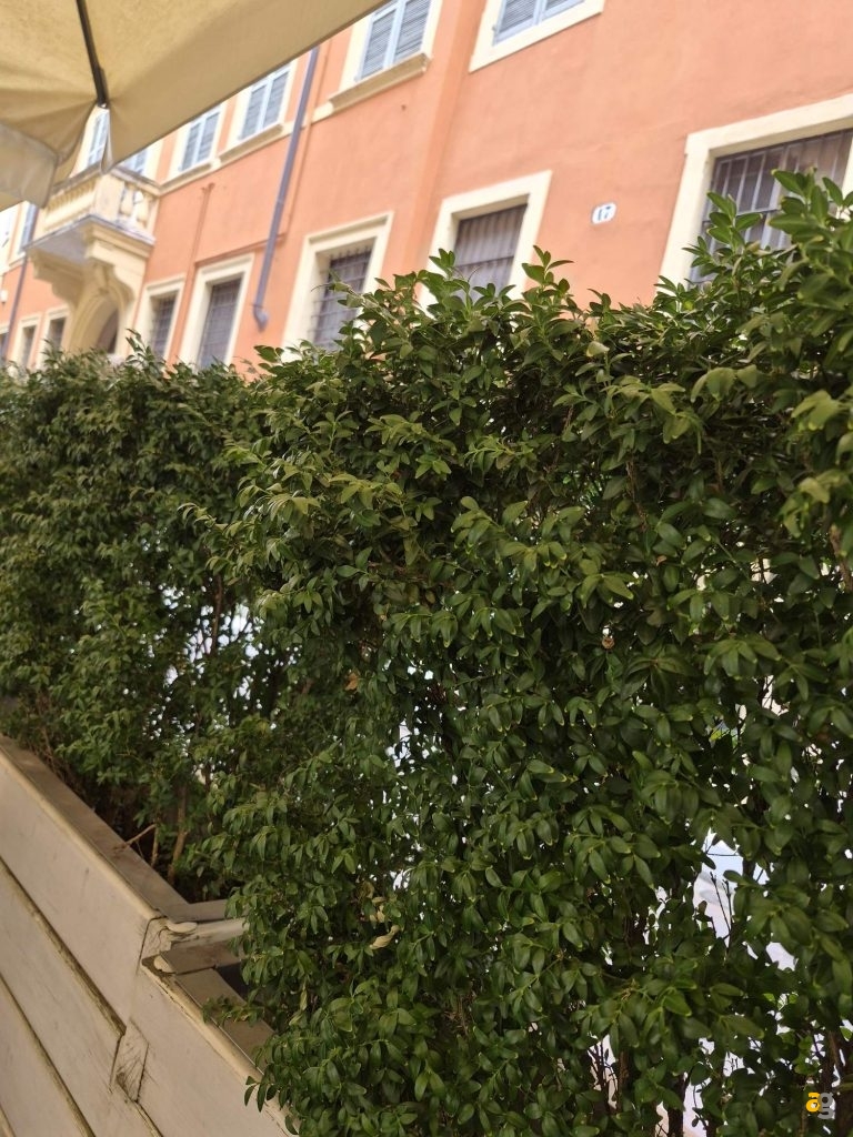 recensione-samsung-galaxy-s25-fe