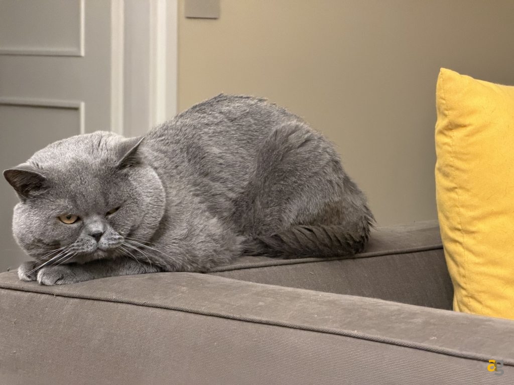 recensione-apple-iphone-17-pro