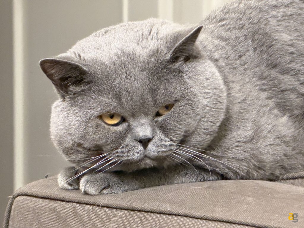 recensione-apple-iphone-17-pro