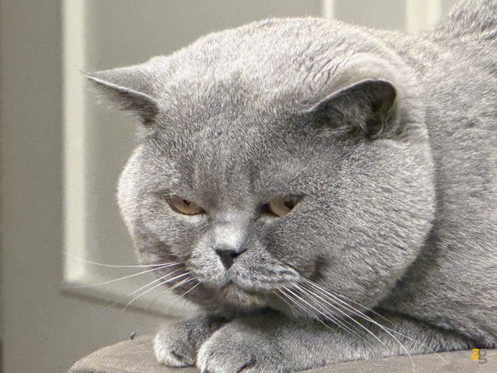 recensione-apple-iphone-17-pro