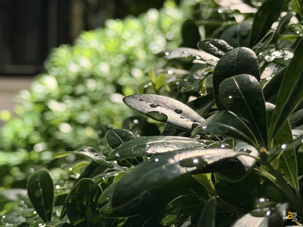 recensione-apple-iphone-17-pro