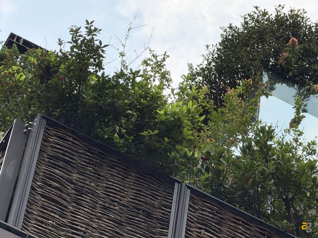 recensione-apple-iphone-17-pro