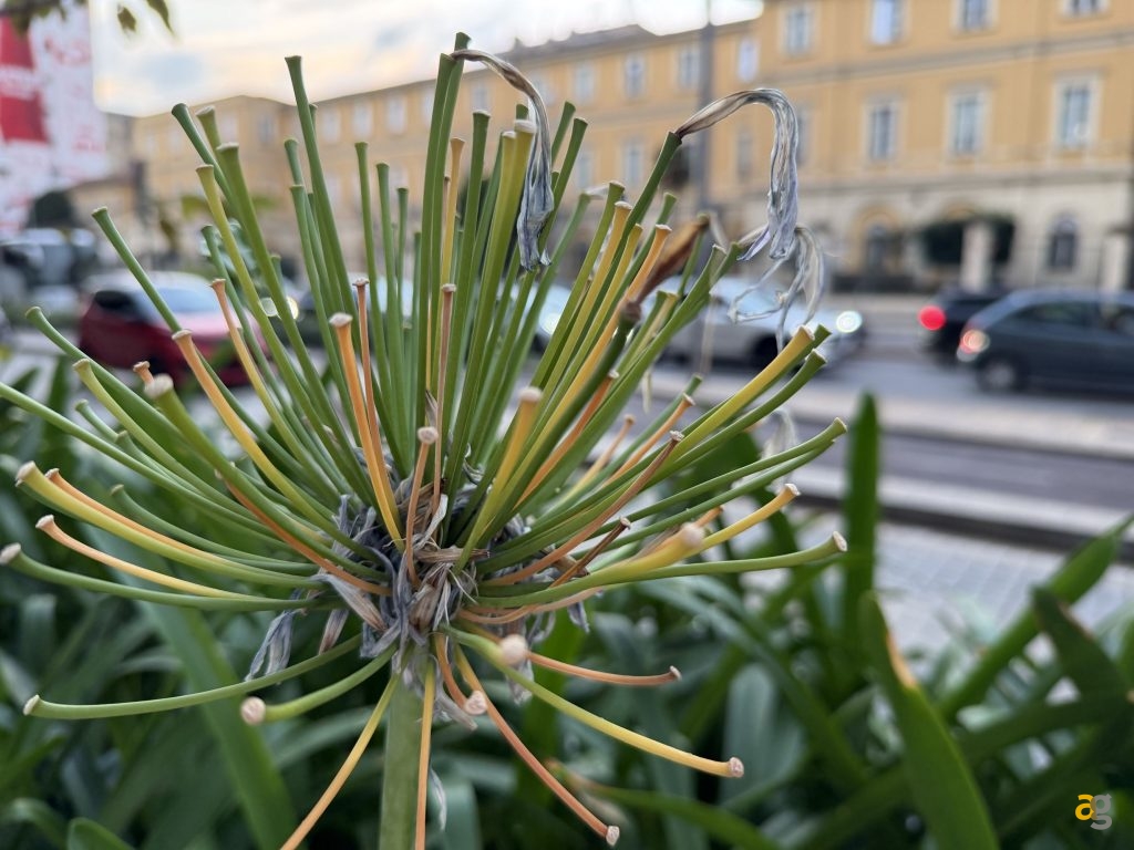 recensione-apple-iphone-17-pro