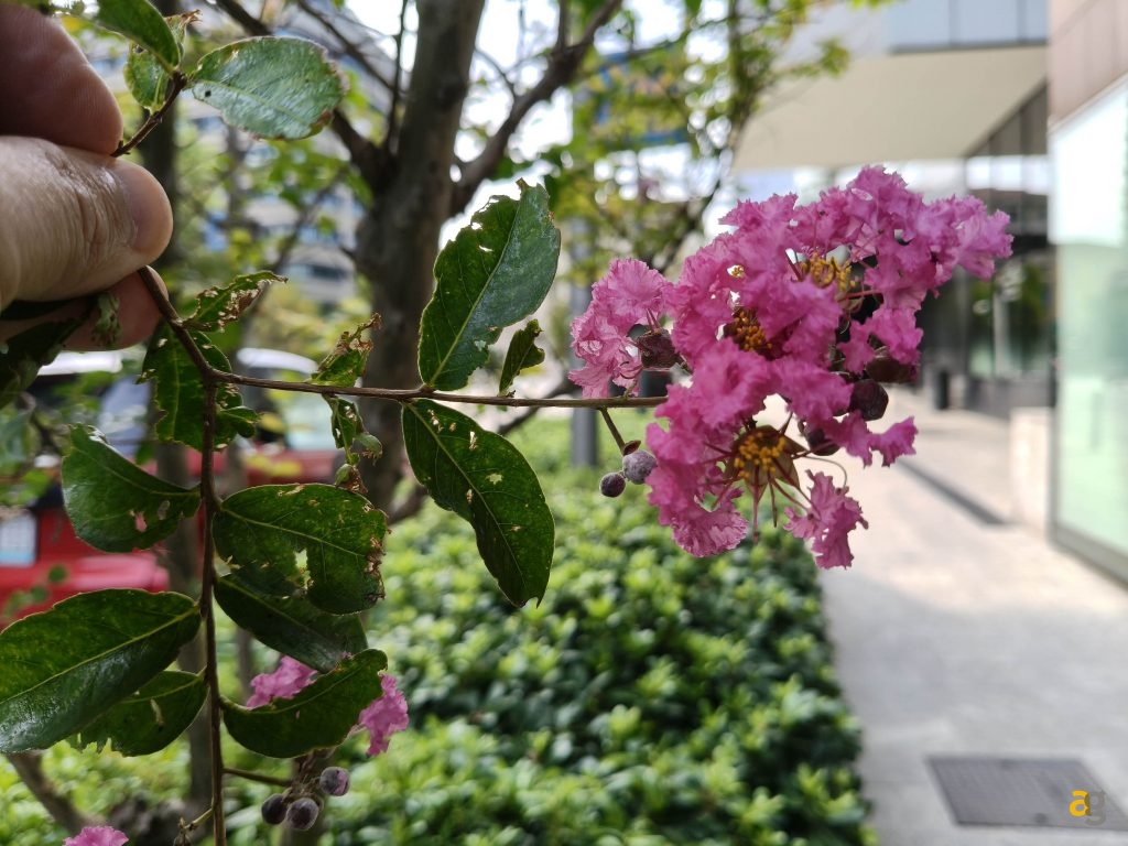 recensione-oppo-reno-14